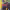 https://res.cloudinary.com/billionhands/image/upload/v1775560369/items/yieauv8s2b8orquuha4b.jpg-1cover
