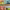 https://res.cloudinary.com/billionhands/image/upload/v1775560382/items/gv6whffv6feo8x5mgtrg.png-1cover