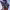 https://res.cloudinary.com/billionhands/image/upload/v1775560434/items/nyvdobukau1xqngqlgy6.jpg-3cover