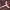 https://res.cloudinary.com/billionhands/image/upload/v1775560718/items/fbono0kr6dqjbhvnkjwv.webp-3cover