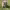 https://res.cloudinary.com/billionhands/image/upload/v1775560737/items/t1hreuymo0f2cc5oqhlt.jpg-3cover