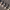 https://res.cloudinary.com/billionhands/image/upload/v1775561029/items/zgjfhidqthu8cv97g5dz.jpg-0cover