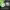 https://res.cloudinary.com/billionhands/image/upload/v1775561213/items/x156voyhv50k35vi2huk.webp-3cover