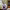 https://res.cloudinary.com/billionhands/image/upload/v1775561320/items/nvos5iaxbrneucnsgbmp.webp-3cover