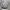 https://res.cloudinary.com/billionhands/image/upload/v1775561499/items/cxrdlscr2brehdurtcyr.jpg-0cover