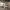 https://res.cloudinary.com/billionhands/image/upload/v1775561994/items/nqchjkhv61x59hvf6wrc.jpg-2cover