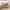https://res.cloudinary.com/billionhands/image/upload/v1775561999/items/odv6iy1e3mysvps9ezdy.jpg-2cover