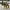 https://res.cloudinary.com/billionhands/image/upload/v1775562149/items/xbjb68ks0aedmbefhfuc.webp-2cover