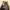 https://res.cloudinary.com/billionhands/image/upload/v1775562296/items/rmx6crcthhkadaf2b7wm.jpg-2cover