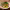 https://res.cloudinary.com/billionhands/image/upload/v1775562326/items/ic1zyf2ocq0gb0njmtx6.jpg-3cover