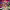 Sling TV (Live TV streaming service) cover