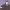 https://res.cloudinary.com/billionhands/image/upload/v1775562564/items/sfbzelpcoy5mo7sczuko.jpg-1cover
