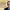 https://res.cloudinary.com/billionhands/image/upload/v1775562677/items/trwf4rkrtospreyruccb.jpg-2cover