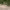 https://res.cloudinary.com/billionhands/image/upload/v1775562681/items/wcldawfvn3jdjywxrwiy.jpg-3cover