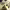 https://res.cloudinary.com/billionhands/image/upload/v1775562780/items/nmbcuqgk3a6ldbul73wk.avif-2cover