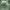 https://res.cloudinary.com/billionhands/image/upload/v1775562804/items/ryup4w8iyifvmawwctfy.jpg-2cover
