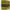 https://res.cloudinary.com/billionhands/image/upload/v1775562855/items/upznsxns5oixsingelkv.jpg-1cover