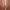 Linen Curtains with Terracotta Floral Print cover