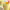 https://res.cloudinary.com/billionhands/image/upload/v1775563131/items/c36l8itqtjt3mrhgbzrq.jpg-2cover