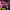 https://res.cloudinary.com/billionhands/image/upload/v1775563233/items/js3gcdwlh7sulwjrpgp4.jpg-2cover