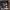 https://res.cloudinary.com/billionhands/image/upload/v1775563546/items/tunq97x6yffbnhlk5jyl.png-3cover