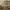 https://res.cloudinary.com/billionhands/image/upload/v1775563551/items/ut6xadb5dfqwp0mg7whz.webp-3cover