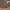https://res.cloudinary.com/billionhands/image/upload/v1775563552/items/tlbo9d4dvck4np6wgv8f.jpg-2cover