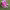 https://res.cloudinary.com/billionhands/image/upload/v1775563701/items/dknff8bzp498ztsykgsk.webp-2cover