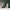 https://res.cloudinary.com/billionhands/image/upload/v1775563722/items/ahubr7mpsuwl1sgfq50m.png-1cover