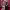 https://res.cloudinary.com/billionhands/image/upload/v1775563964/items/eomspxx2pe3isfwrrvnc.avif-0cover