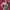 https://res.cloudinary.com/billionhands/image/upload/v1775563971/items/tqexmihrjykn54jnengv.jpg-3cover