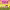https://res.cloudinary.com/billionhands/image/upload/v1775563982/items/a5q6ly5vvd6xupono1yv.webp-3cover
