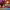https://res.cloudinary.com/billionhands/image/upload/v1775563982/items/zgwt0guejk2twifoy83x.png-2cover