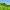Uji and Wazuka Matcha Farm Half Day Private Guided Tour (Uji, Kyoto) cover