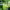 https://res.cloudinary.com/billionhands/image/upload/v1775564004/items/bteb87kpnr6wgoev0e8u.jpg-1cover