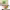 https://res.cloudinary.com/billionhands/image/upload/v1775564007/items/fzyixev33apqtgkdrcsh.webp-3cover