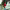 https://res.cloudinary.com/billionhands/image/upload/v1775564034/items/plnkvakgq6kxlxec1ueu.jpg-1cover