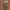 https://res.cloudinary.com/billionhands/image/upload/v1775564137/items/sh9egldrgmlfhxvkayii.gif-3cover