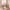 Plank+Beam 72" Farmhouse Dining Table cover