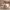 https://res.cloudinary.com/billionhands/image/upload/v1775564148/items/osfn9qcn6j01qbfnrwui.webp-2cover