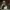https://res.cloudinary.com/billionhands/image/upload/v1775564311/items/x6z2uvqfg5opdzihkw61.jpg-0cover