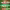 https://res.cloudinary.com/billionhands/image/upload/v1775564357/items/wabdfejh1wvlhfwmawwl.jpg-0cover