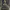 Asymmetrical pleated olive green tulle trumpet party dress (2026) cover