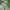 Gauguin green long dress (2026) cover
