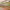 https://res.cloudinary.com/billionhands/image/upload/v1775564485/items/usakoivyuco6fap7l2il.jpg-1cover