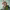 https://res.cloudinary.com/billionhands/image/upload/v1775564512/items/ib6hzx8dcf49stvzuisr.jpg-3cover