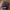 https://res.cloudinary.com/billionhands/image/upload/v1775564595/items/lxngy4fjojqrdrqvpq15.jpg-3cover
