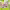 https://res.cloudinary.com/billionhands/image/upload/v1775564619/items/u8qgjureof83rzxaxw2c.jpg-0cover