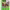 https://res.cloudinary.com/billionhands/image/upload/v1775564620/items/niwdldm77kf6sqw2r225.jpg-1cover