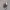 https://res.cloudinary.com/billionhands/image/upload/v1775564716/items/xsiikvvg8gtmp6fpqvgm.avif-3cover